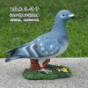 Pigeon simulation, street design resin, suitable for import