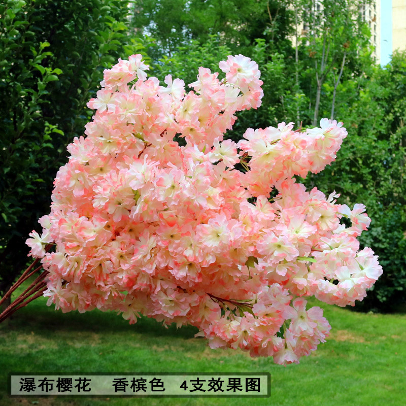 瀑布樱花香槟色-华康.jpg