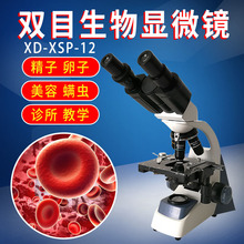 上海馨迪XD-XSP-12双目生物显微镜一滴血水产养殖藻类检测仪