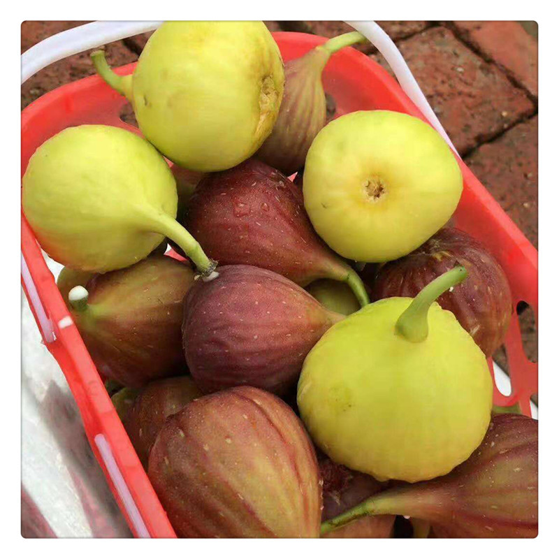 8e6eafb9e337c9445d657bf4482d59