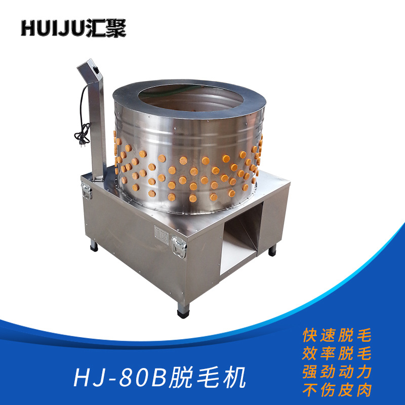 304不锈钢材质打毛机 厂家供应鸡鸭鹅脱毛机HJ-80B打毛机