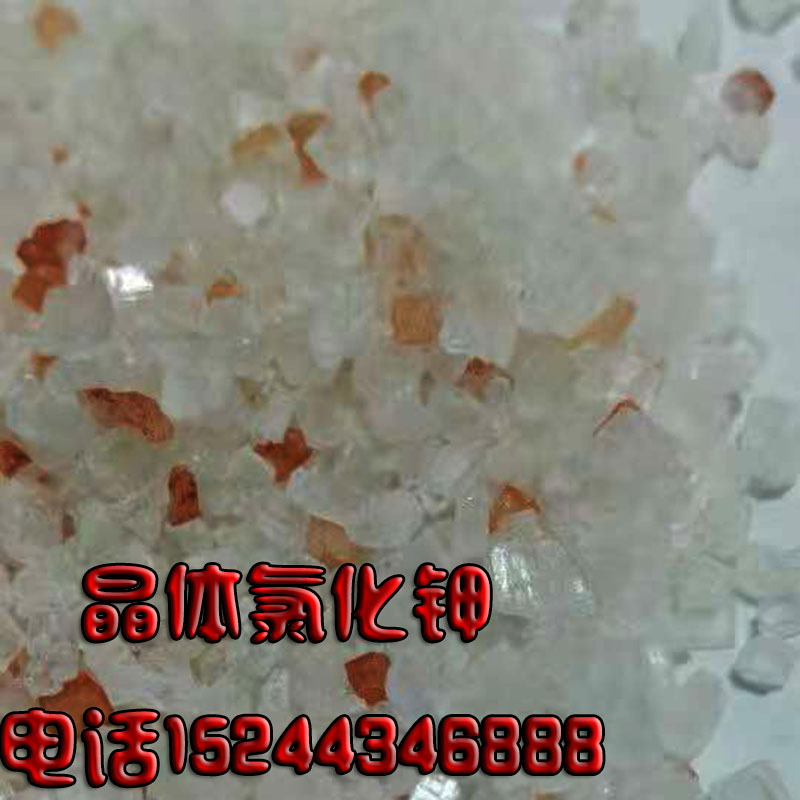 农用晶体氯化钾 大颗粒掺混肥原料钾盐 山东化肥 厂家批发肥料