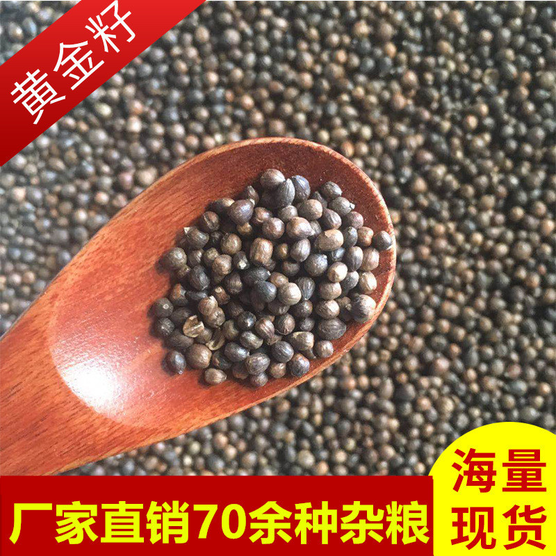 厂家直销优质粮食填枕头农家自产五谷杂粮批发散装粗粮黄金子|ru