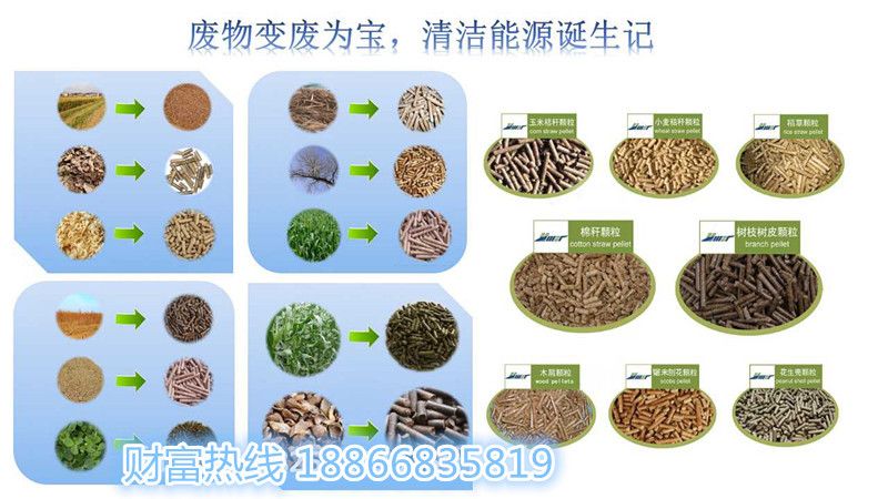 生物质 (4)_副本