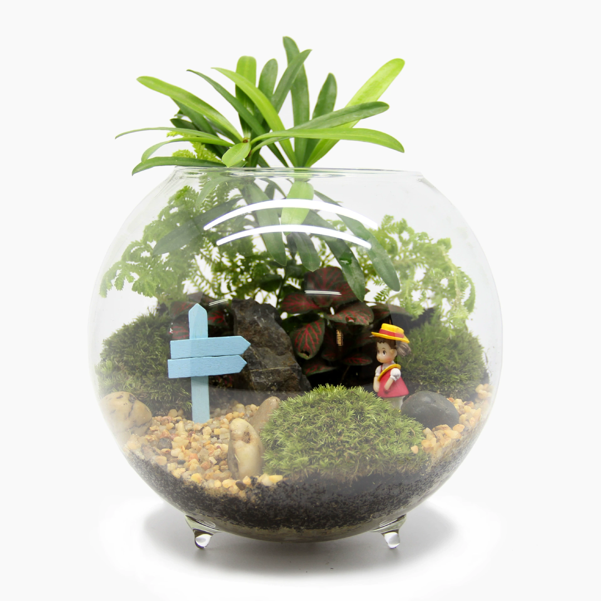 Стеклянный мох бутылочка микропейзаж экологическая бутылка креативный подарок растение мир теплый коттедж