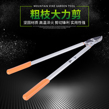 批发供应山藤粗枝大力剪 园林绿化园艺修枝剪刀 锋利修枝剪