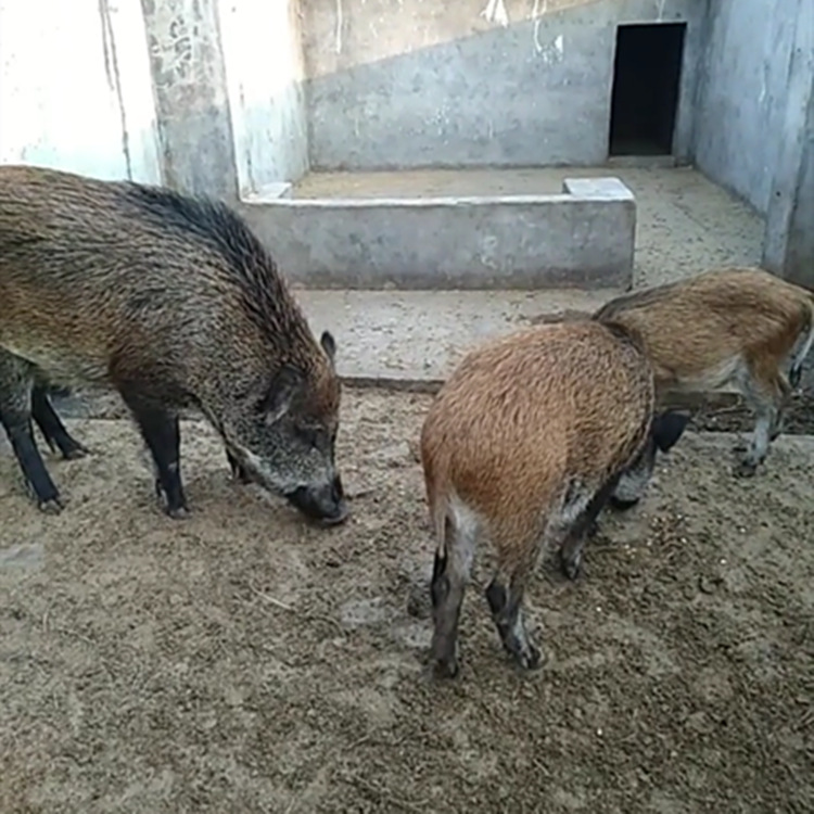 Screenshot_2018-01-05-11-24-19