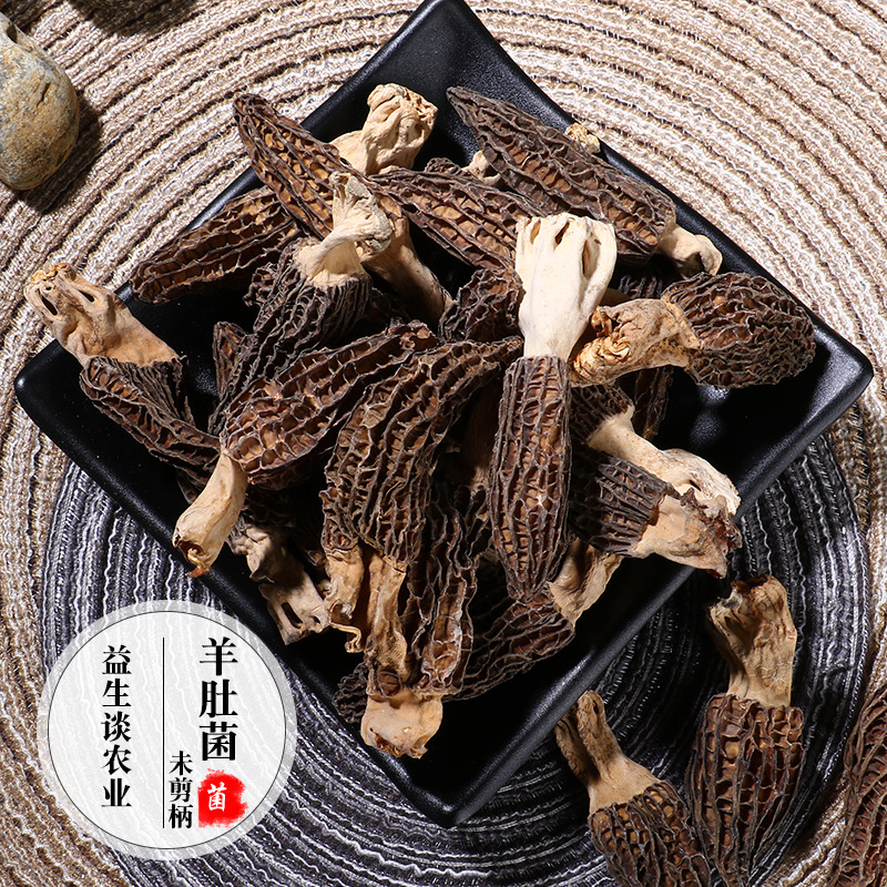 产地直销 金装40g带柄羊肚菌干货肉厚珍贵山货一袋代发|ms