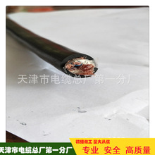 DJYVPVP16*2*0.75�p����Ӌ��C��|PE�^�������o�׏S���N��