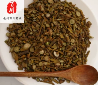 批发桑寄生中药材桑寄生优质 实物拍照 品质保障