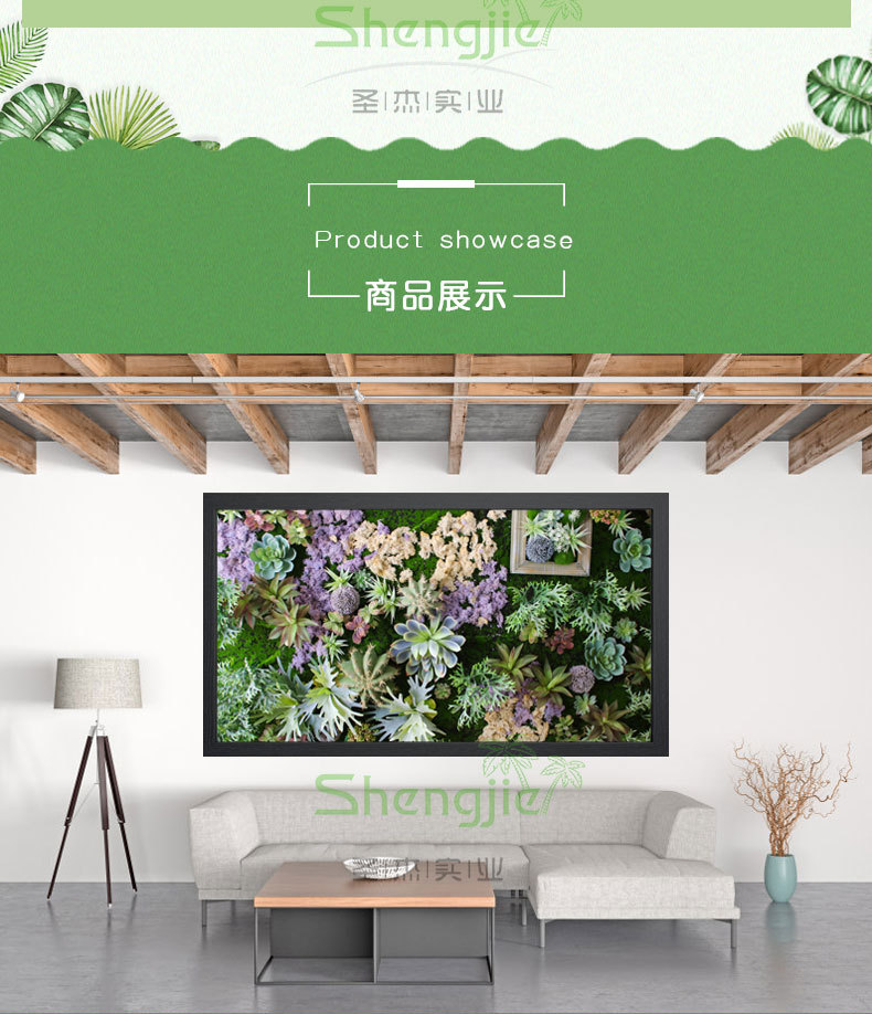 植物墙-多肉详情页_06.jpg