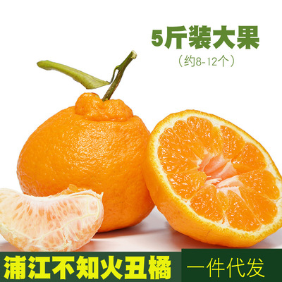 丑橘不知火四川橘子 5斤装水果丑八怪柑橘 果园现摘支持一件代发|ms
