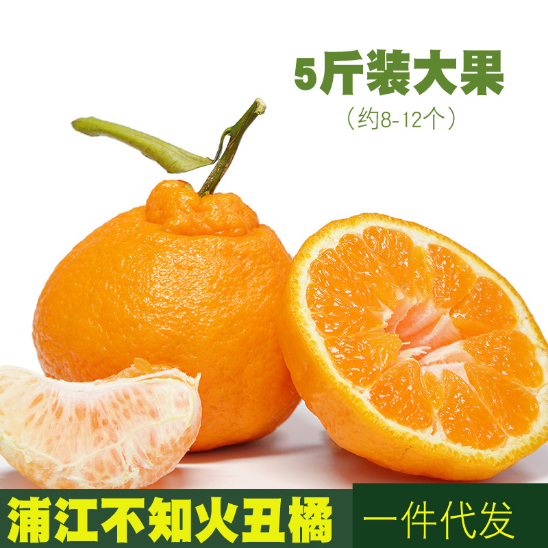 丑橘不知火四川橘子 5斤装水果丑八怪柑橘 果园现摘支持一件代发|ms