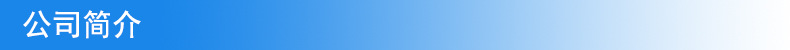 公司簡介
