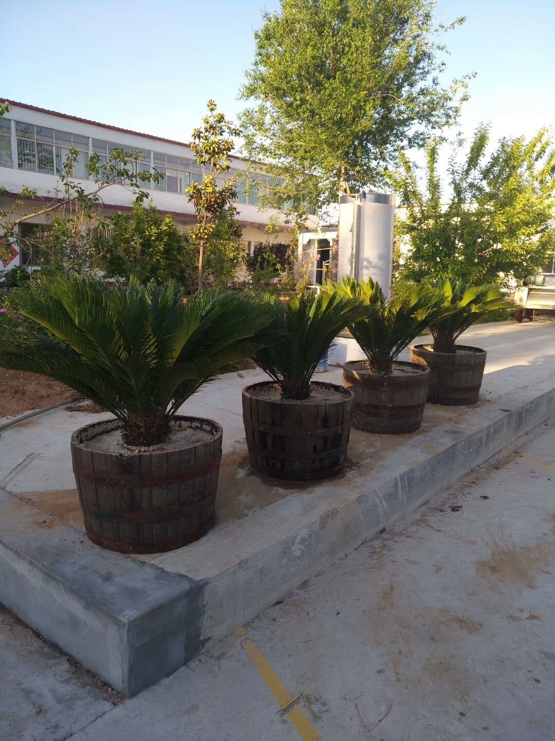 mmexport1529191644841