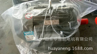 Y-H-200L2-6-22����늙C���D�����D�Ӟ���\�D����s��ʽIC411
