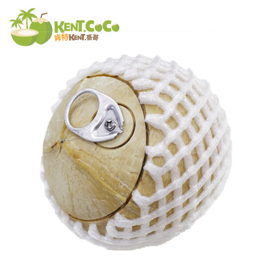 预售 泰国易拉椰青（2个一件泰国新鲜进口椰子椰皇椰青） 直销