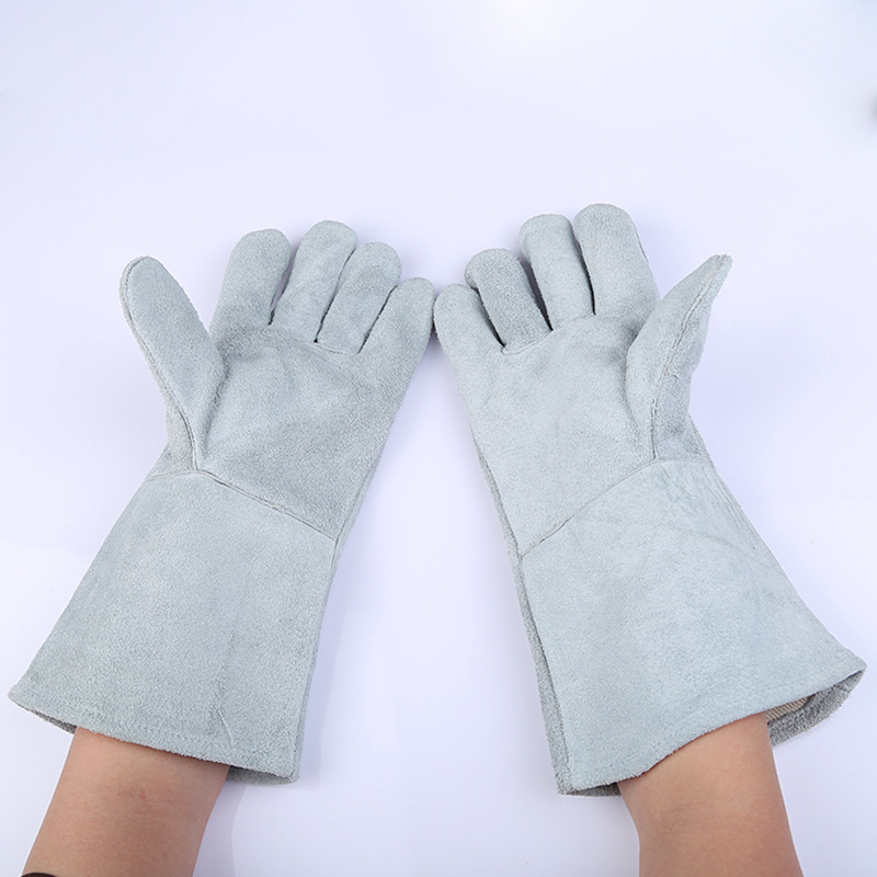 3856961843_661303599