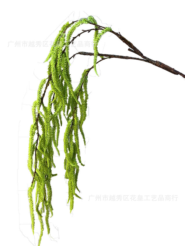 未标题-1.jpg