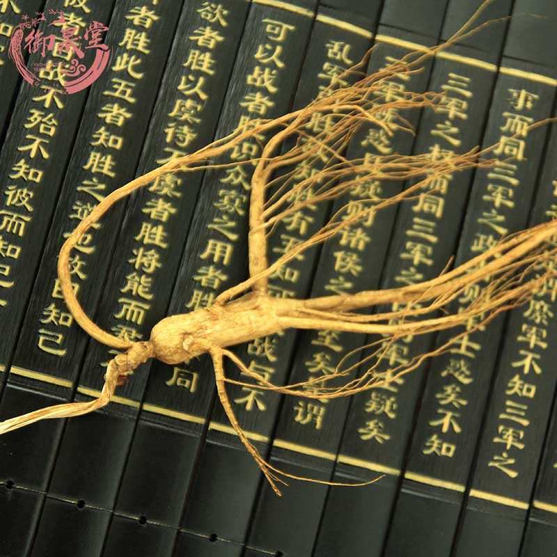 东北长白山新鲜人参林下参14年 整枝林下参干全须无拼接散装批发|ms