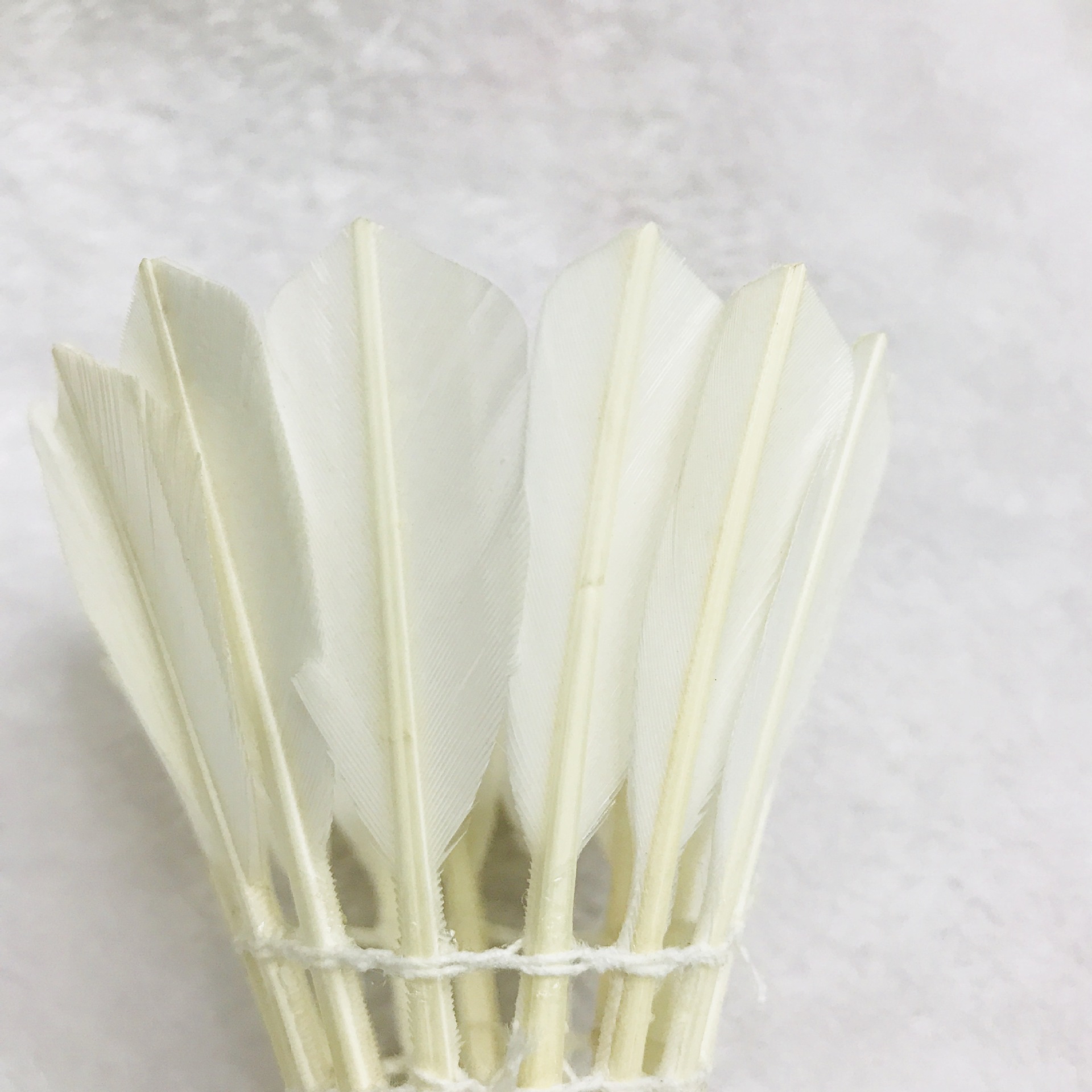 IMG_3121(20180305-112221)