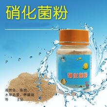 鱼缸水族箱鱼池观赏鱼 硝化菌 净化过滤器 硝化细菌培养过滤材料