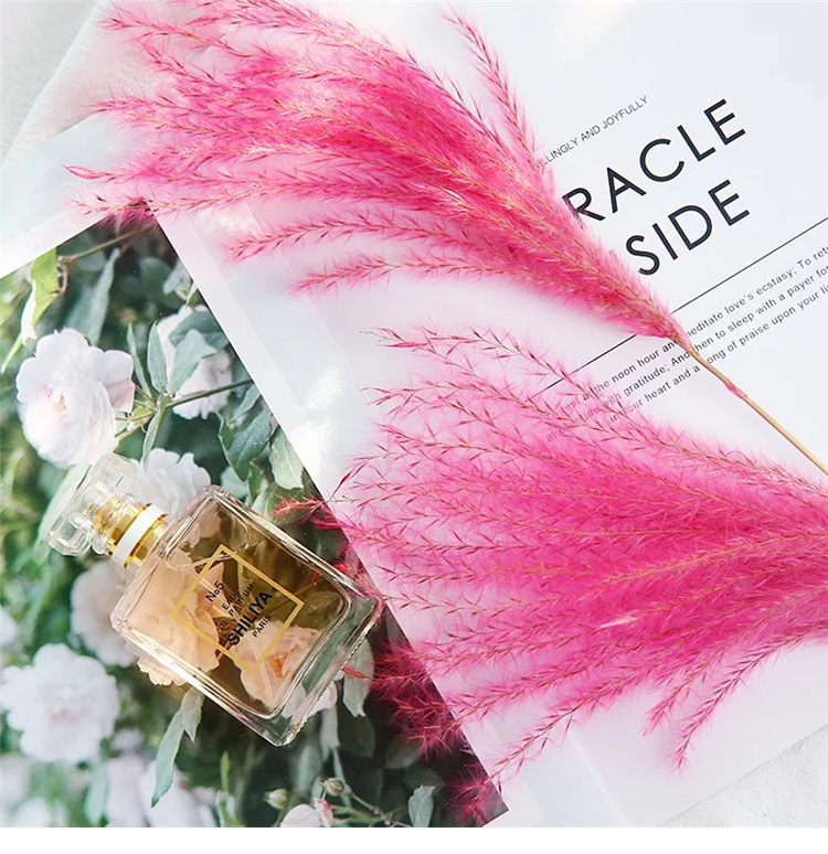 ins风芦苇干花拍摄摆件道具 家居装饰摆设 网红装饰背景道具|ru