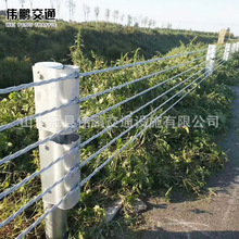 绳索护栏厂家批发高速公路防撞护栏 景区钢丝绳护栏网