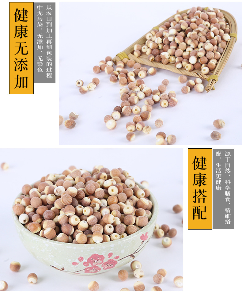 Dried Euryale Seed Qian Shi Whole Gorgon Fruit 500g Low Temperature Roasted for Grinding in use