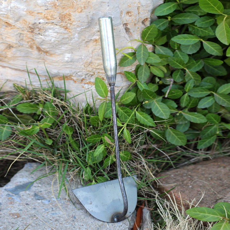 4191269320_288799623