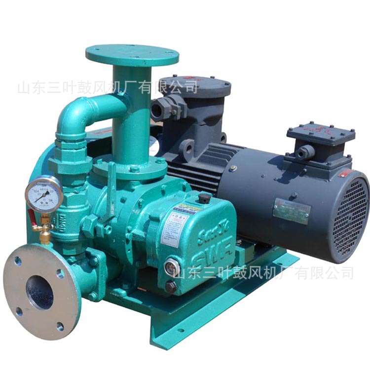 山东厂家生产天 然气增压鼓风机可调节压力大小沼气增压鼓风机