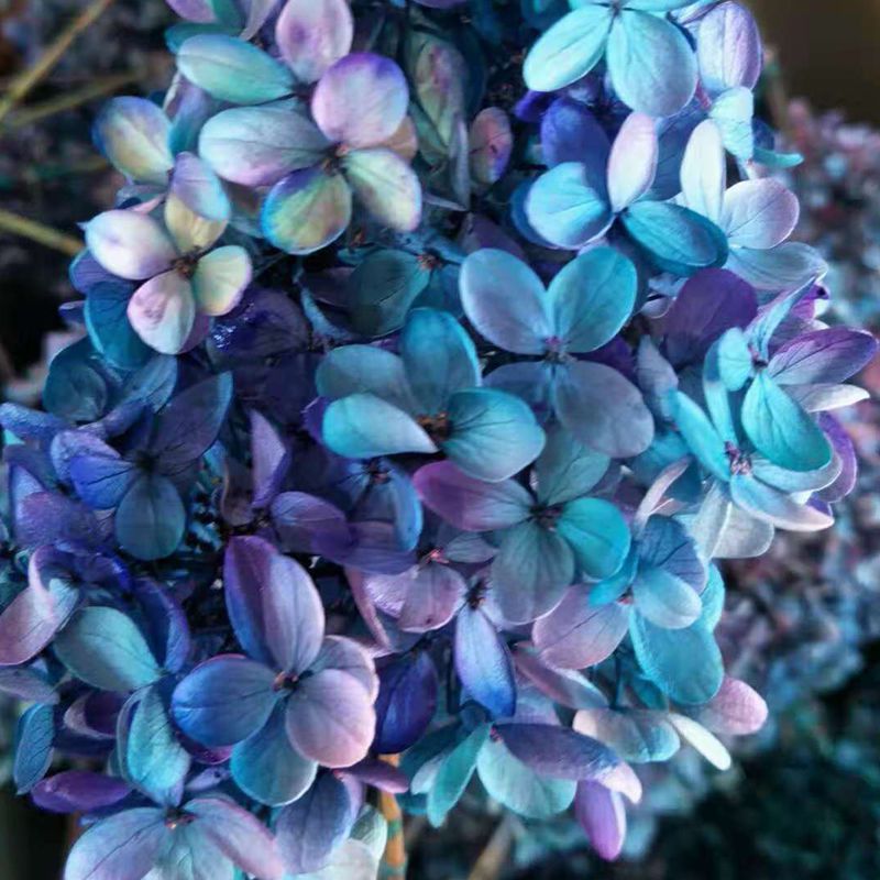 微信图片_20181126141616_副本