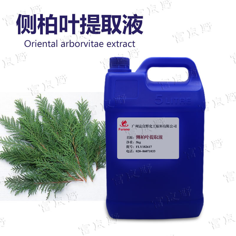 批发 国产 侧柏叶提取液 侧柏叶萃取液