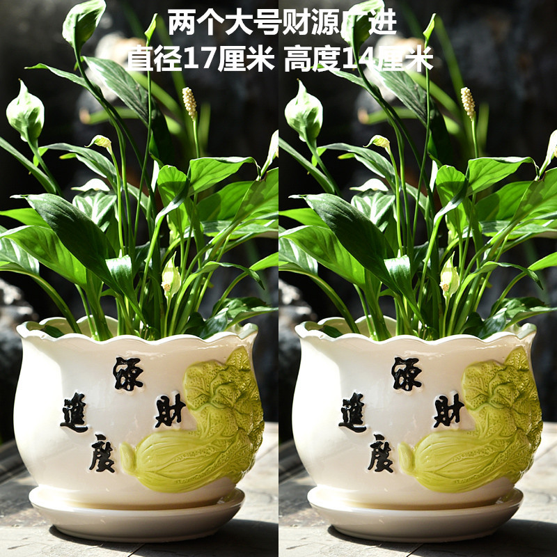 财源广进_副本.jpg