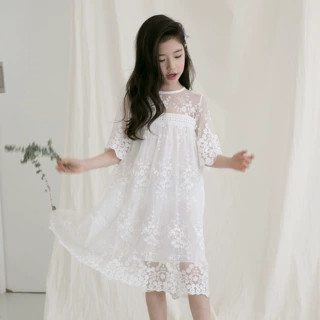 2025夏新款女童短袖网纱裙蕾丝女童连衣裙子INS风公主裙一件代发