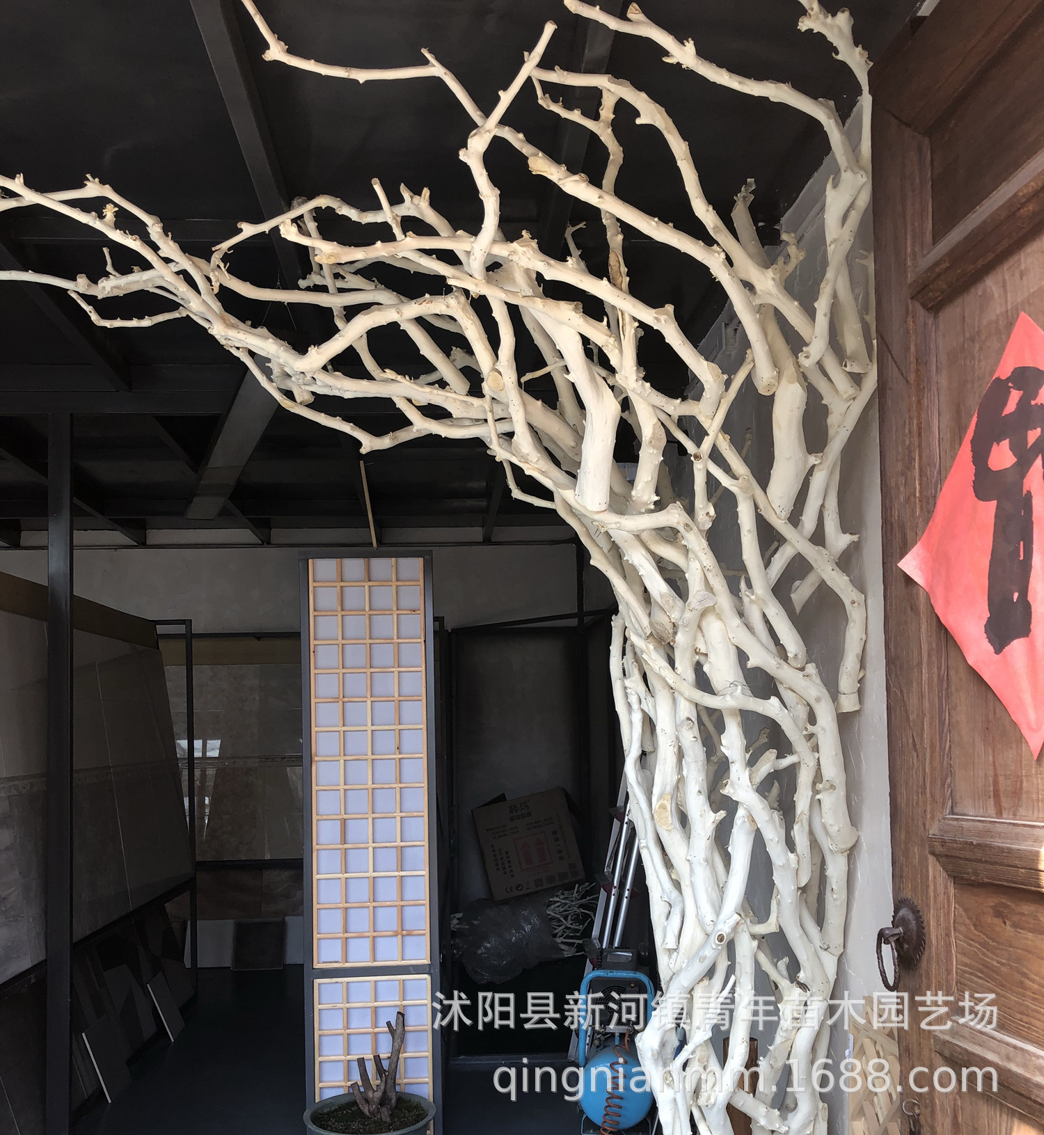 枯木造型,枯木景观,枯木图片_大山谷图库