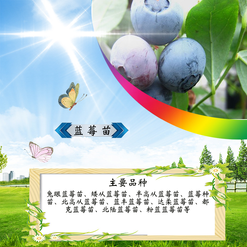 千库网999d0baa74884ca2cac83be816f