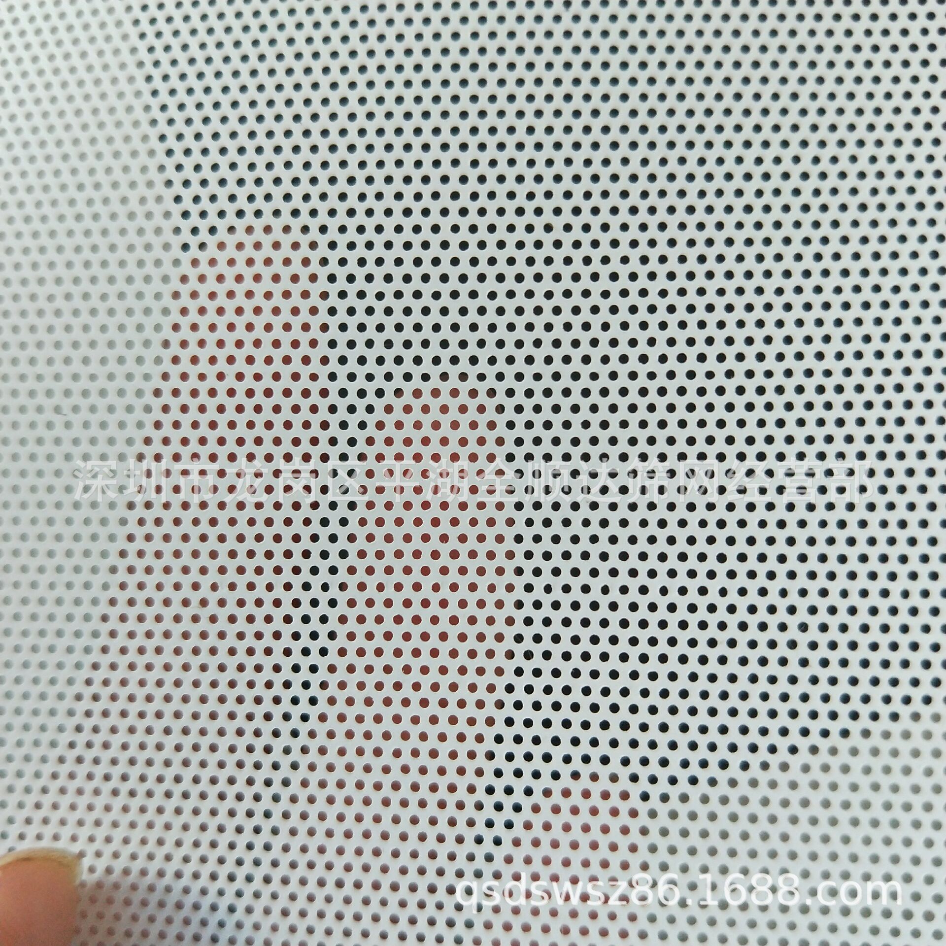 供应PVC喇叭网 白色圆孔网 深圳市全顺达筛网经营部