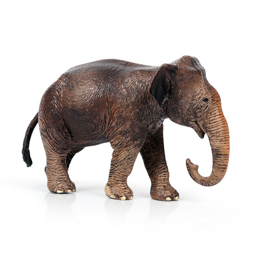 Children's solid simulation wildlife world elephant model toy Zoo Asian elephant model ornaments