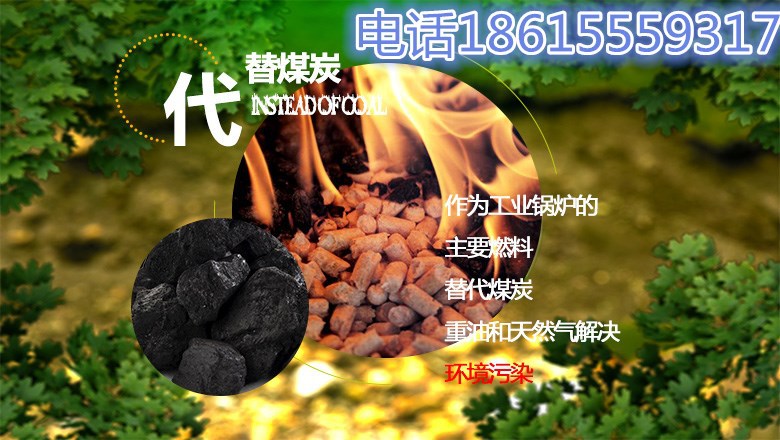 1502163989948325_副本