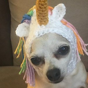 Unicorn Pet Hat
