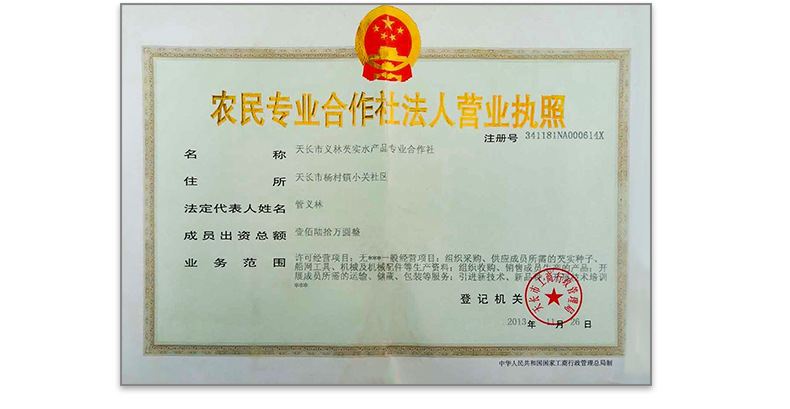 Dried Gorgon Fruit Seeds Qian Shi 500g Whole Euryale Seeds for Cooking and Congee key features