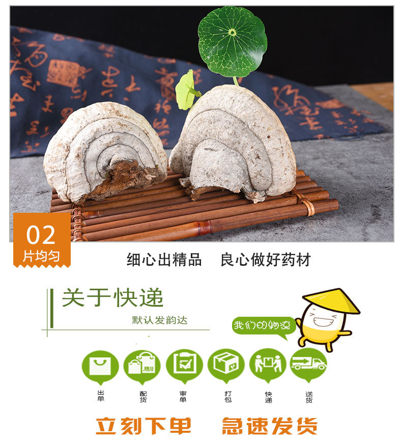Mu Ti (Fomitopsis pinicola) — Wild Wood Tinder Fungus from Changbai Mountain, Dried Food Herb quality and texture