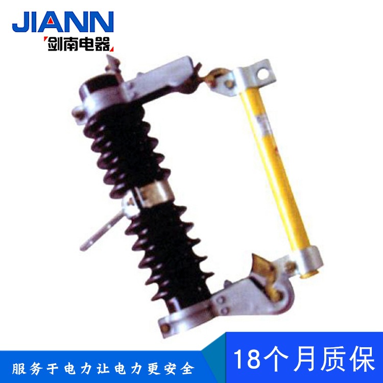 Special wholesale RW4-10/200 outdoors High-voltage fuses 10KV Drop-out fuse RW4 Fuse