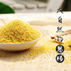 Huang Xiaomi farmhouse Xiaomi porridge edible small yellow rice new rice confinement rice baby 500g coarse grain grain and grain miscellaneous grains