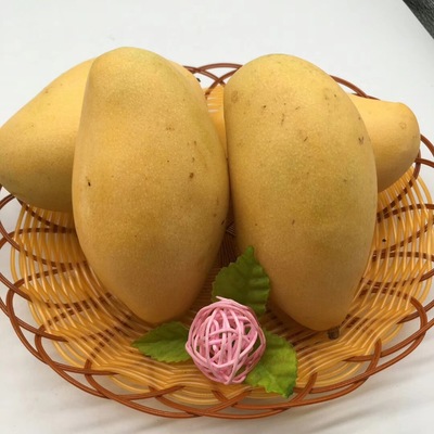 广西新鲜高乐蜜芒果当季应季水果果图园直邮一件代发批发包邮|ms