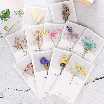 Starry dried flowers literature blank Greeting card birthday Valentines Day Christmas Mother's Day Greeting cards
