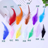 Manufacturers supply color 4-6 white-pointed feather feathers 8-15cm clothing auxiliary materials and handicraft decoration DIY manual