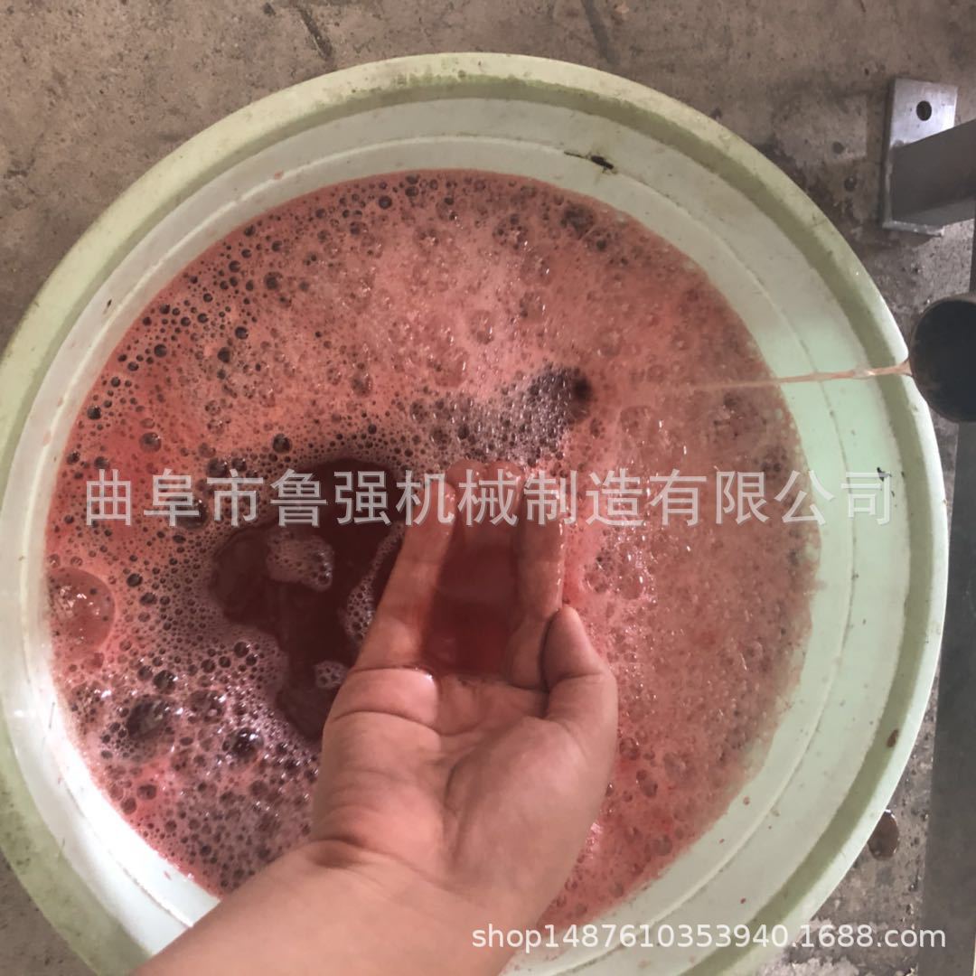 长春小型苹果榨汁机报价