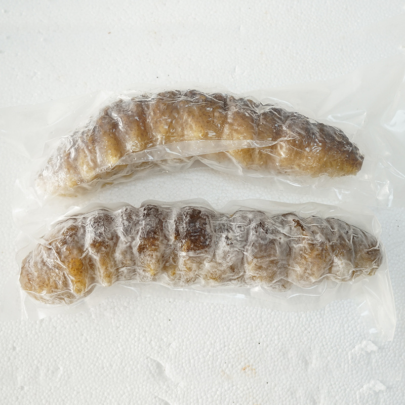 冷冻罗纹参 厂家批发 一手货源|ms